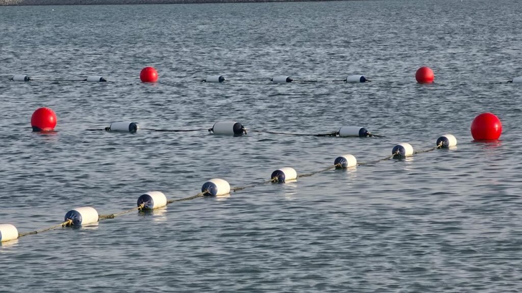 swimming demarcation lines for water safety