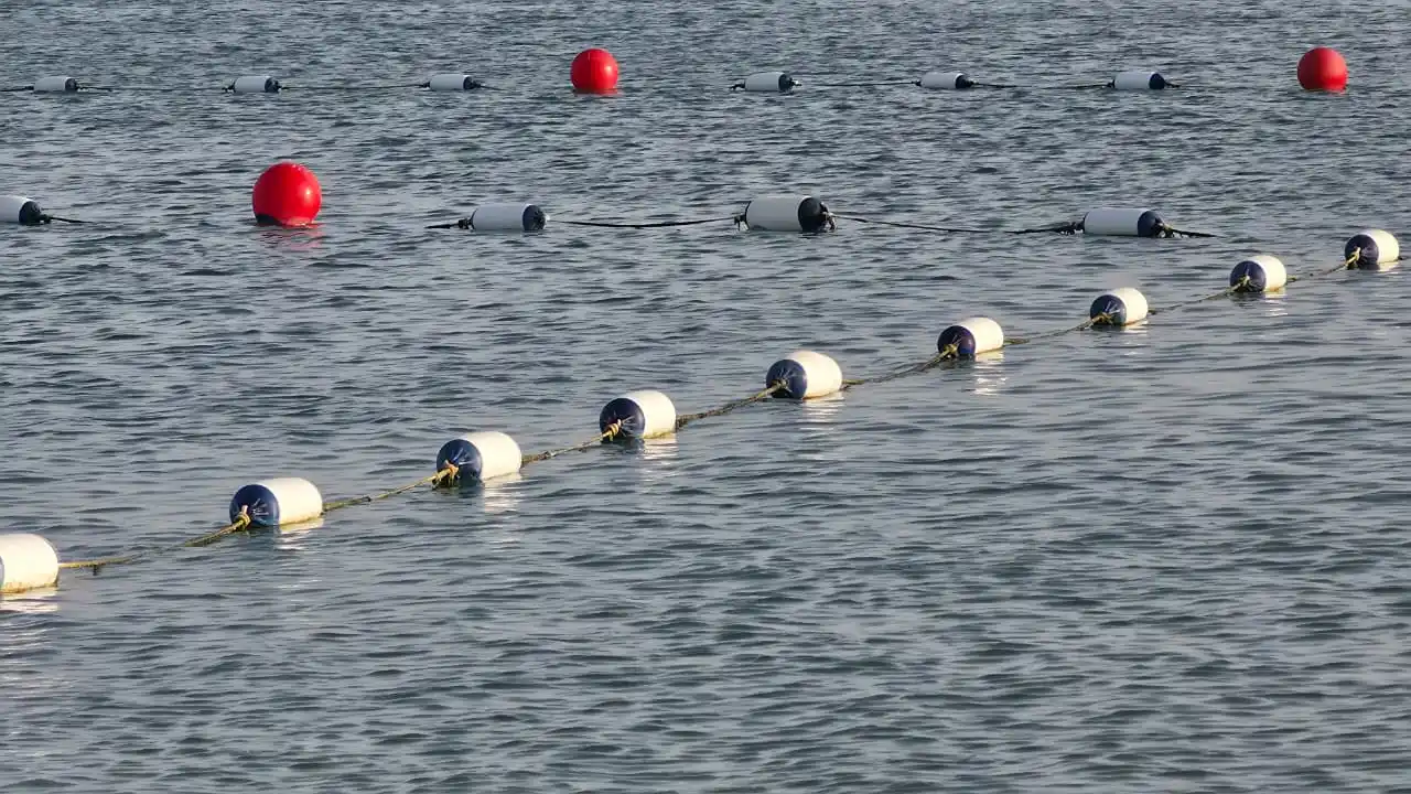 Marine demarcation lines with floating buoys marking a designated water area.